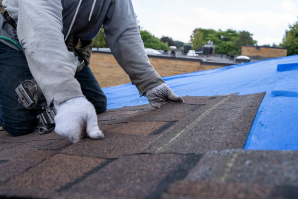 Best Gutter Installation and Roofing  in Vero Beach, FL